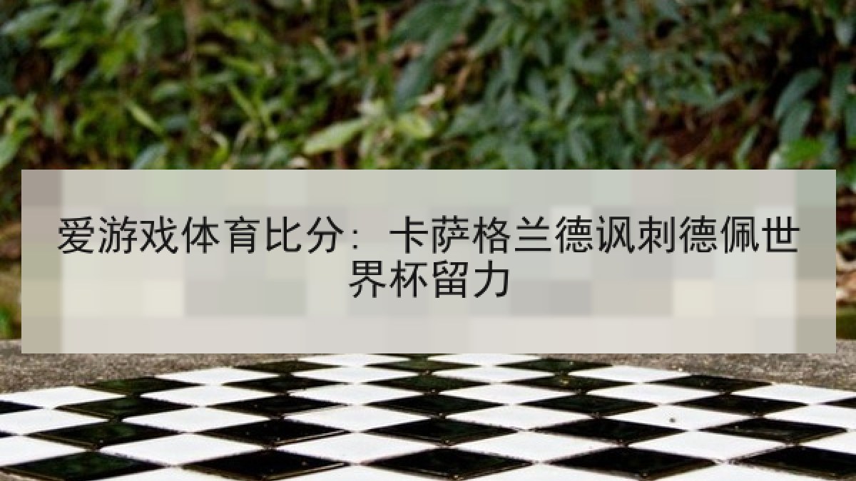 爱游戏体育比分: 卡萨格兰德讽刺德佩世界杯留力