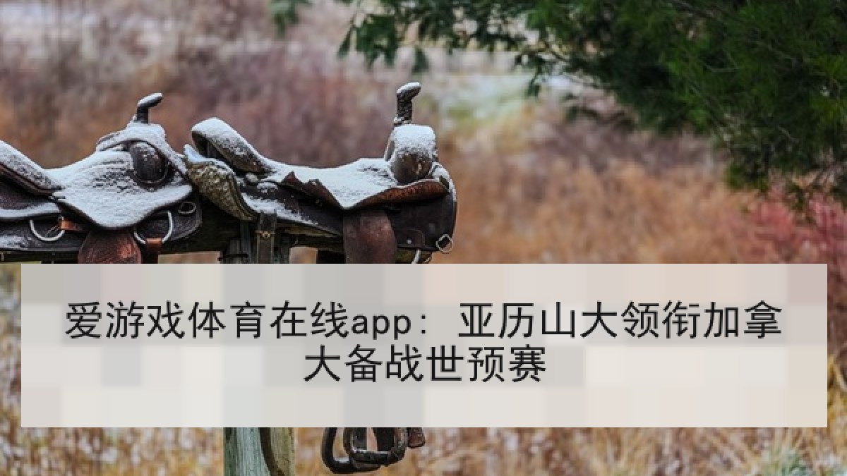 爱游戏体育在线app: 亚历山大领衔加拿大备战世预赛