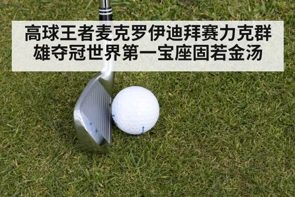 高球王者麦克罗伊迪拜赛力克群雄夺冠世界第一宝座固若金汤